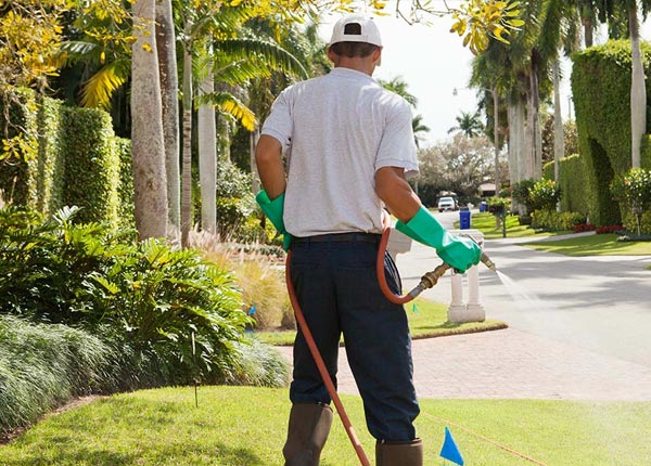 About Bailey Island ME Pest Control Pros